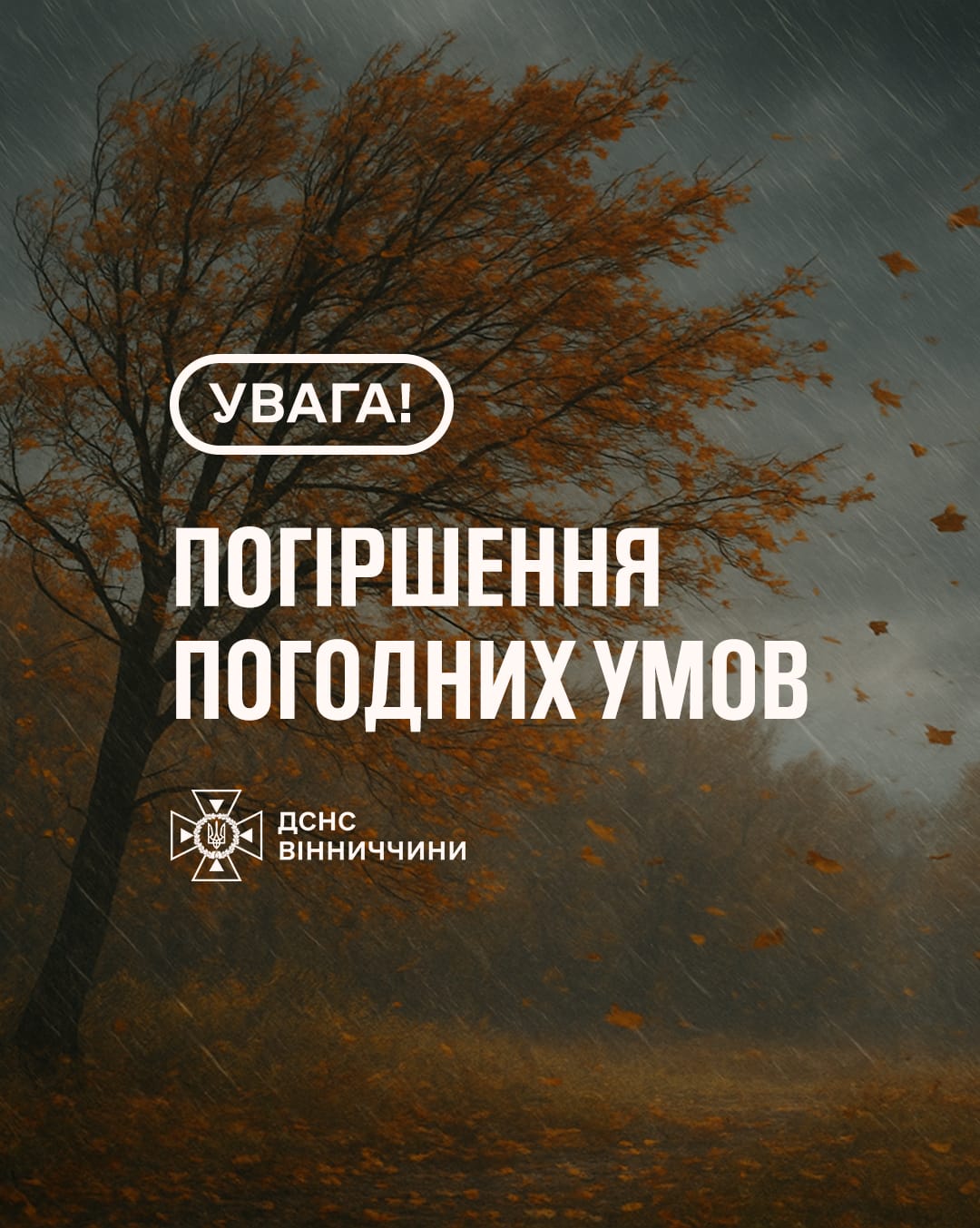 Новини Козятина - фото з Йдуть дощі та сильний вітер. До нас наближається зміна погоди