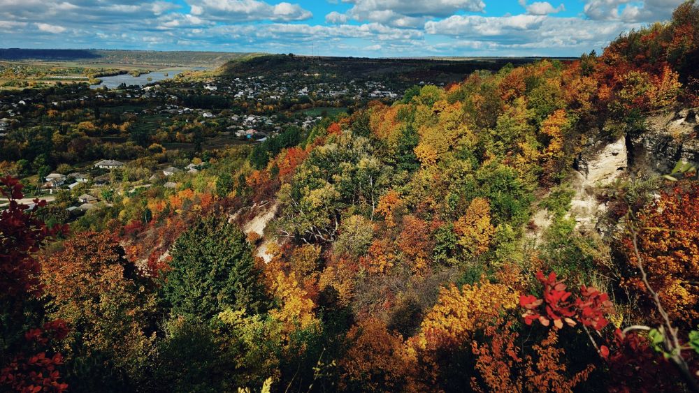 Новини Вінниці - фото з «Яка ж добренна дзандзура»: для чого фермеру словник діалектів рідного села