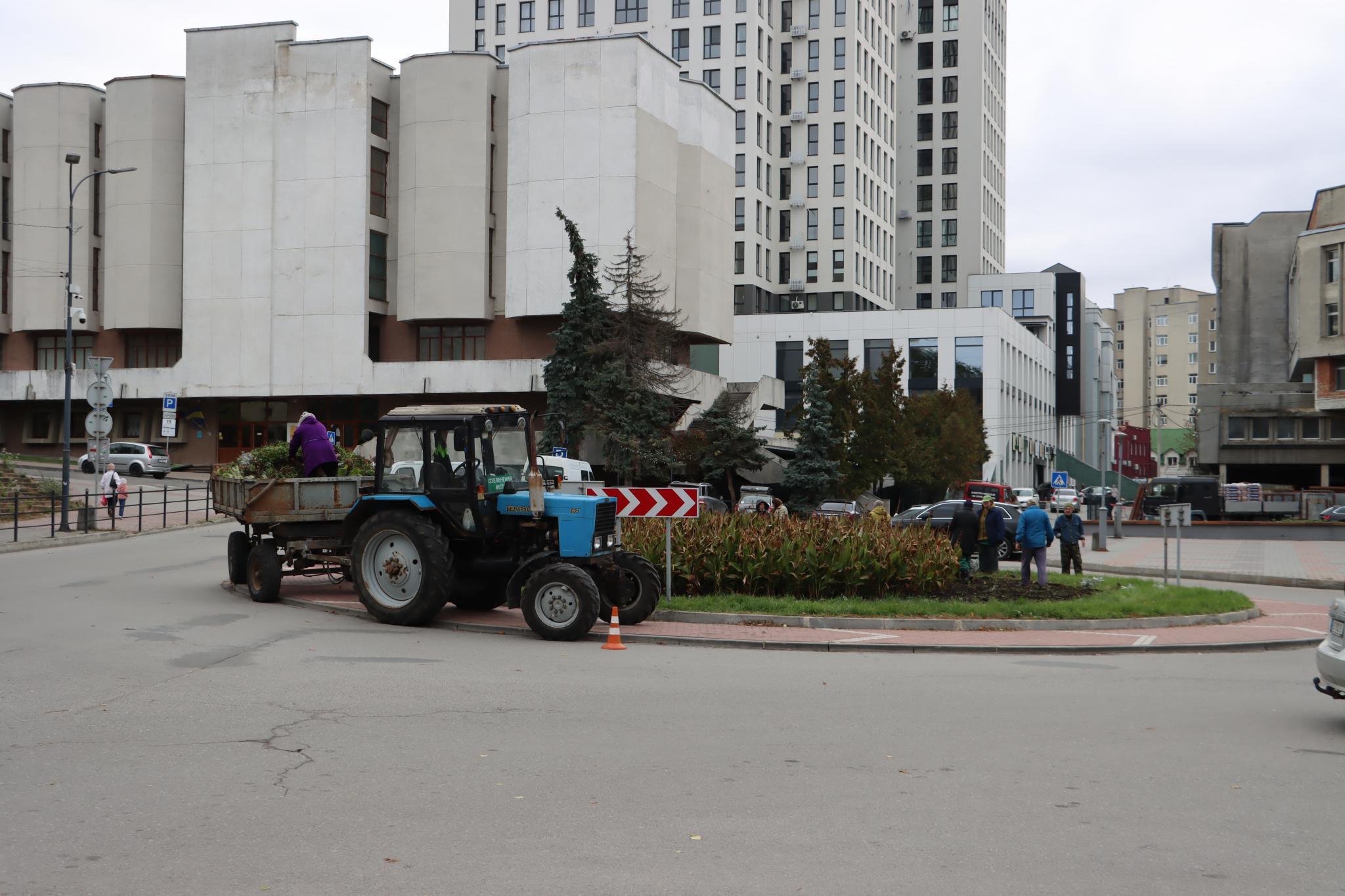 Новини Тернополя - фото з У Тернополі очистили «Квітник матері» і забрали квіти з центральних вулиць