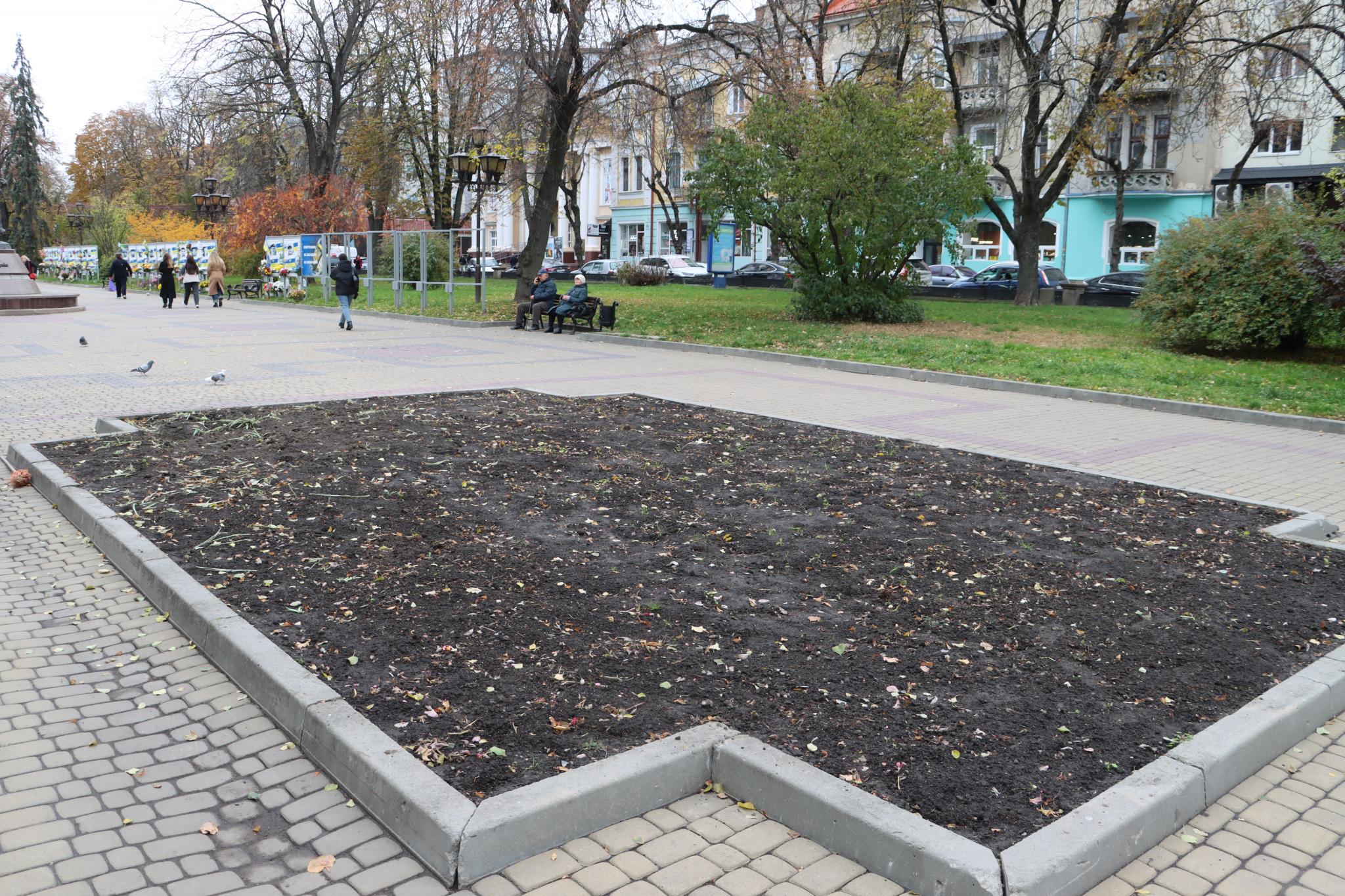 Новини Тернополя - фото з У Тернополі очистили «Квітник матері» і забрали квіти з центральних вулиць