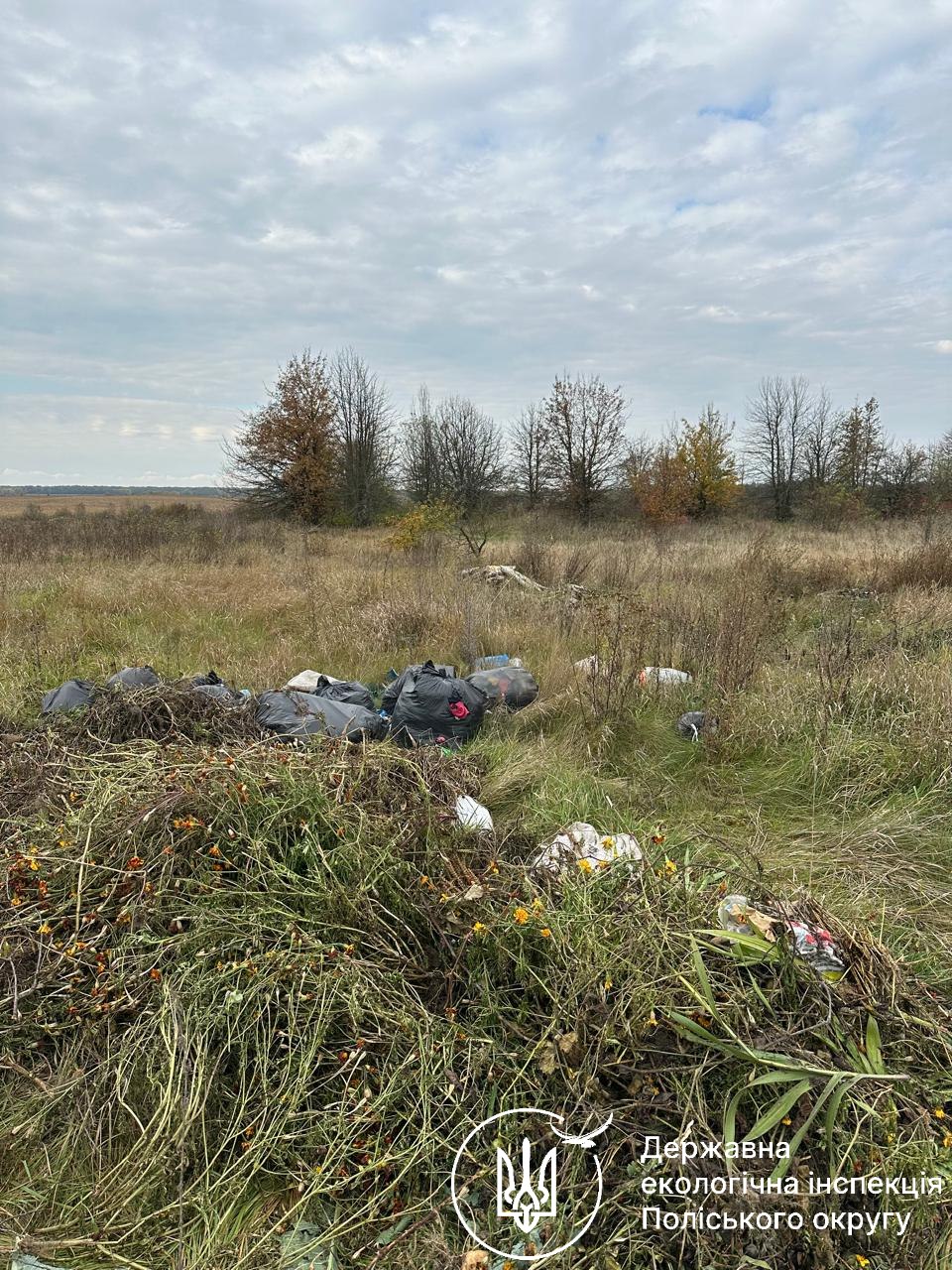 Новини Житомира - фото з В Оліївській громаді екоінспектори виявили чотири стихійні сміттєзвалища