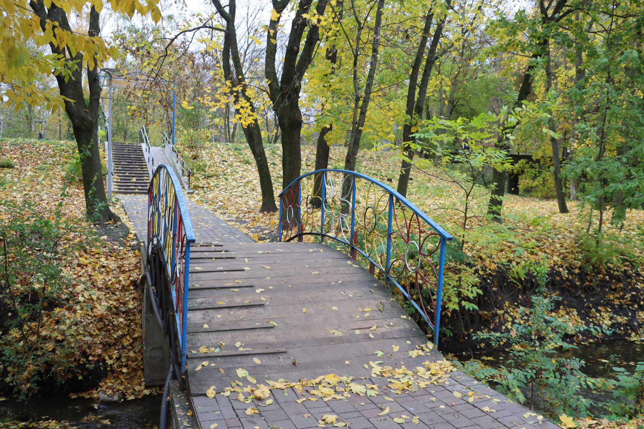 Новини Тернополя - фото з У парку «Сопільче» відремонтують міст біля звіринця: скільки планують витратити