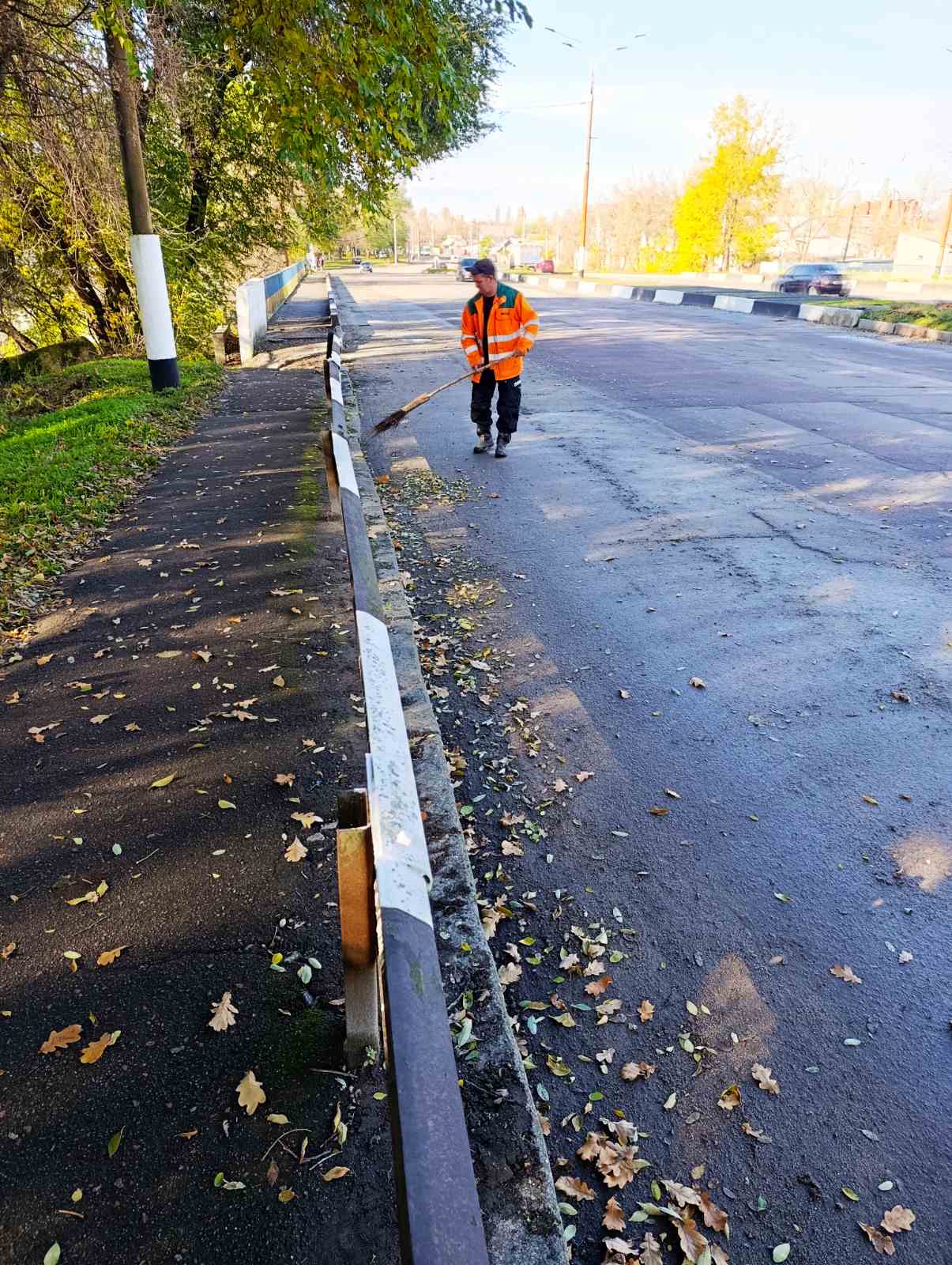 Новини Житомира - фото з У Житомирі триває осіннє прибирання