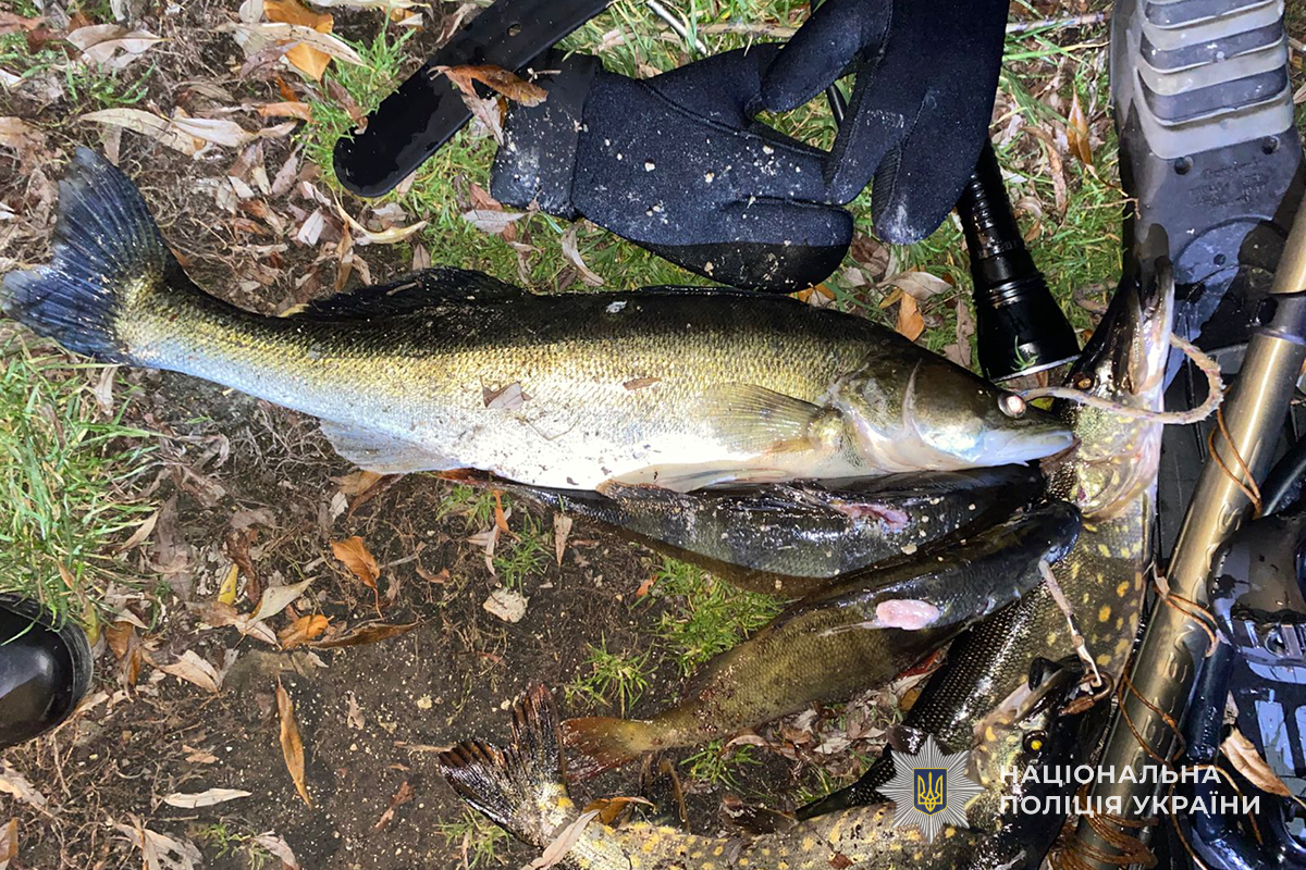 Новини Тернополя - фото з Дайвінг на Тернопільському ставі: затримали двох чоловіків за незаконну риболовлю