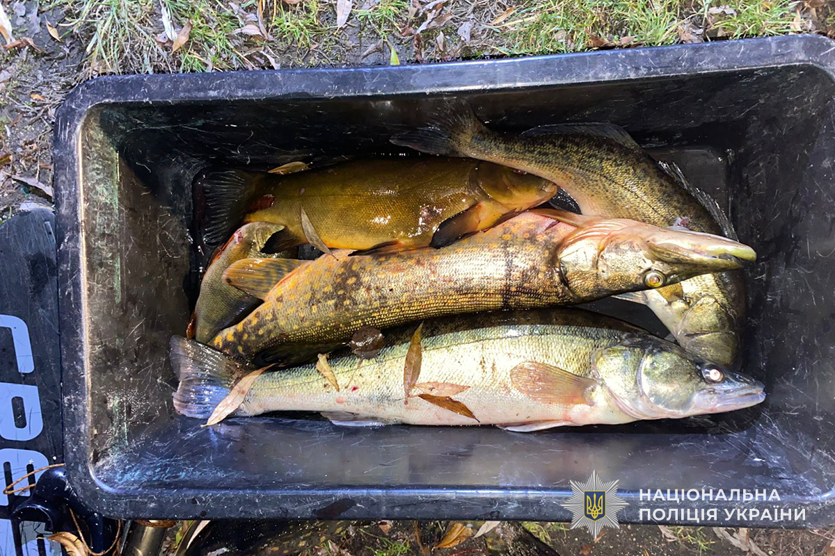 Новини Тернополя - фото з Дайвінг на Тернопільському ставі: затримали двох чоловіків за незаконну риболовлю