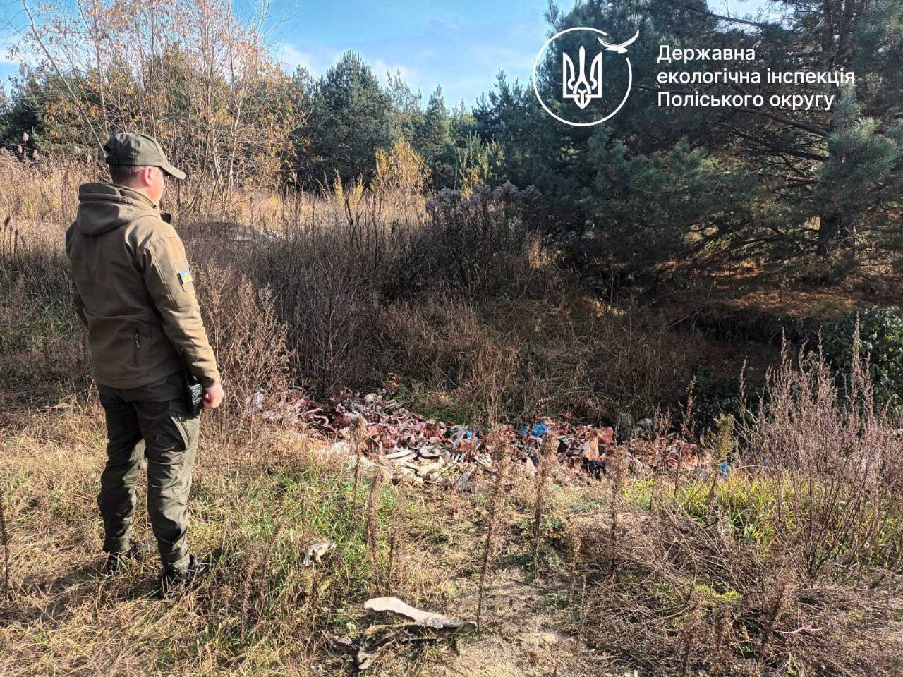 Новини Житомира - фото з В Оліївській громаді екоінспектори виявили факт незаконного складування відходів тваринного походження