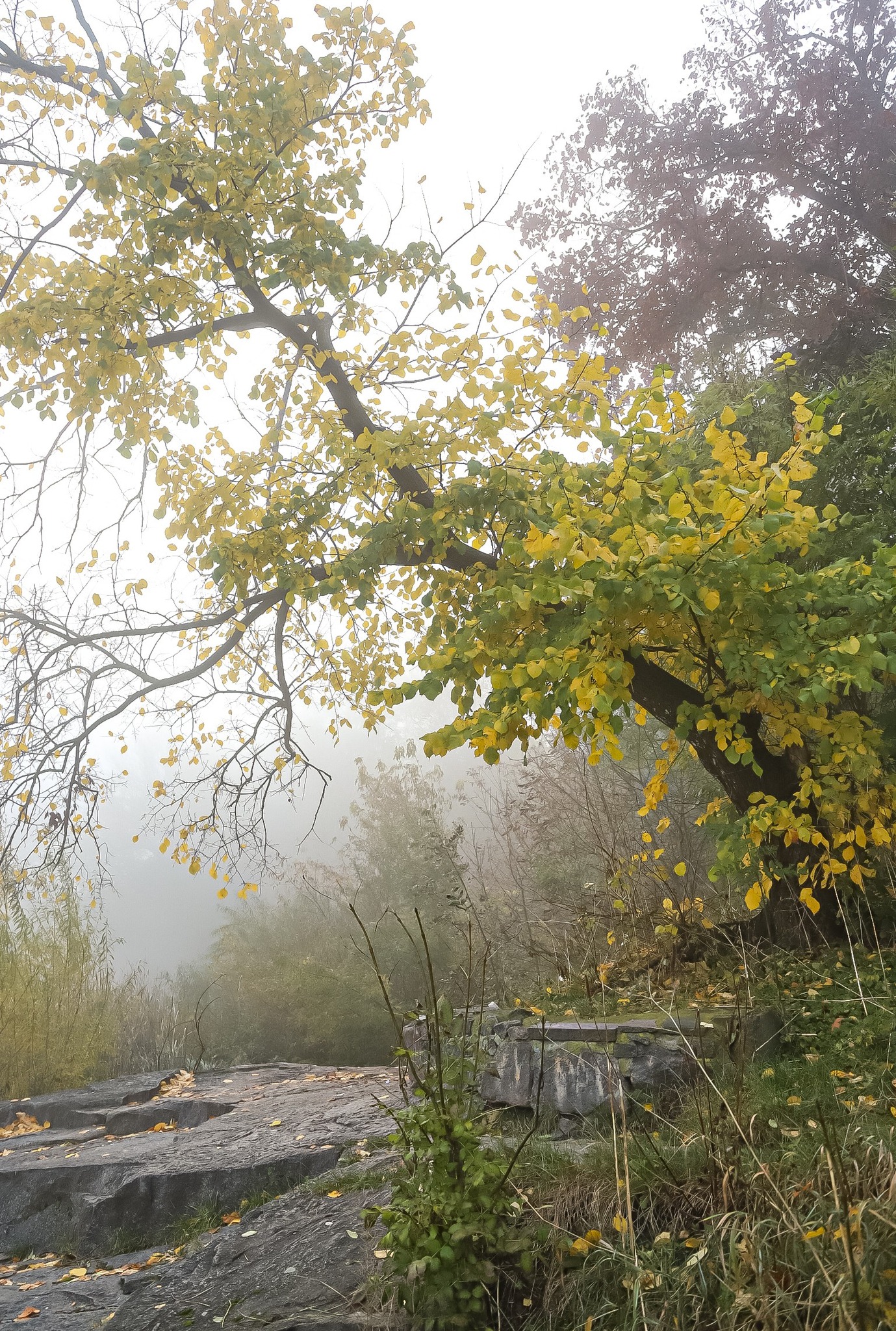 Новини Вінниці - фото з Неймовірні фото осіннього міста: переглядаємо фото вінницьких фотографів