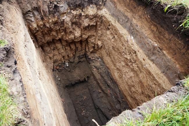 Новини Вінниці - фото з Під «Росією» — історія. Археологи знайшли старовинну монету, кераміку та артефакти Другої світової