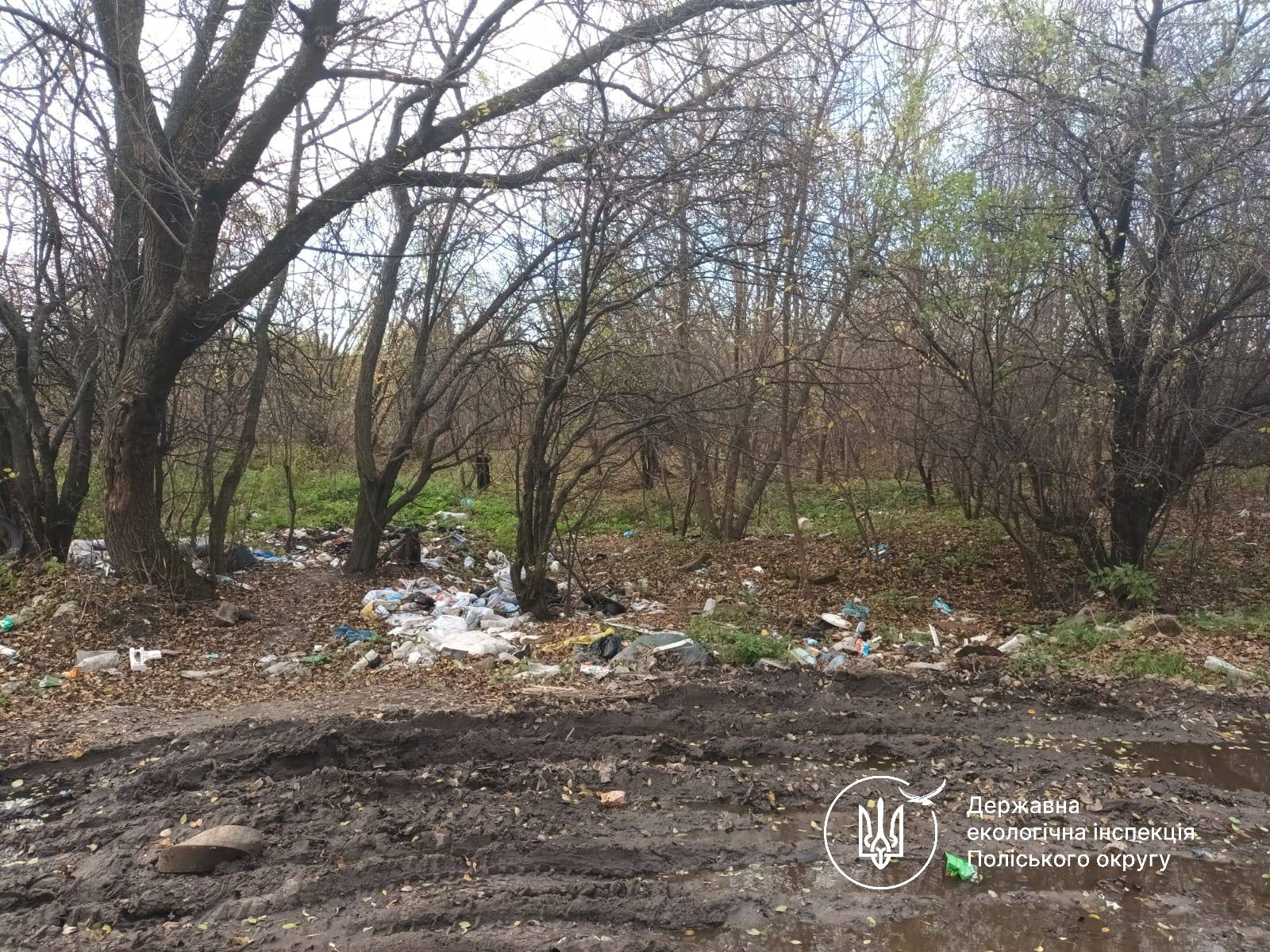 Новини Житомира - фото з У Житомирі знову виявлено несанкціоновані сміттєзвалища вздовж дороги до полігону ТПВ