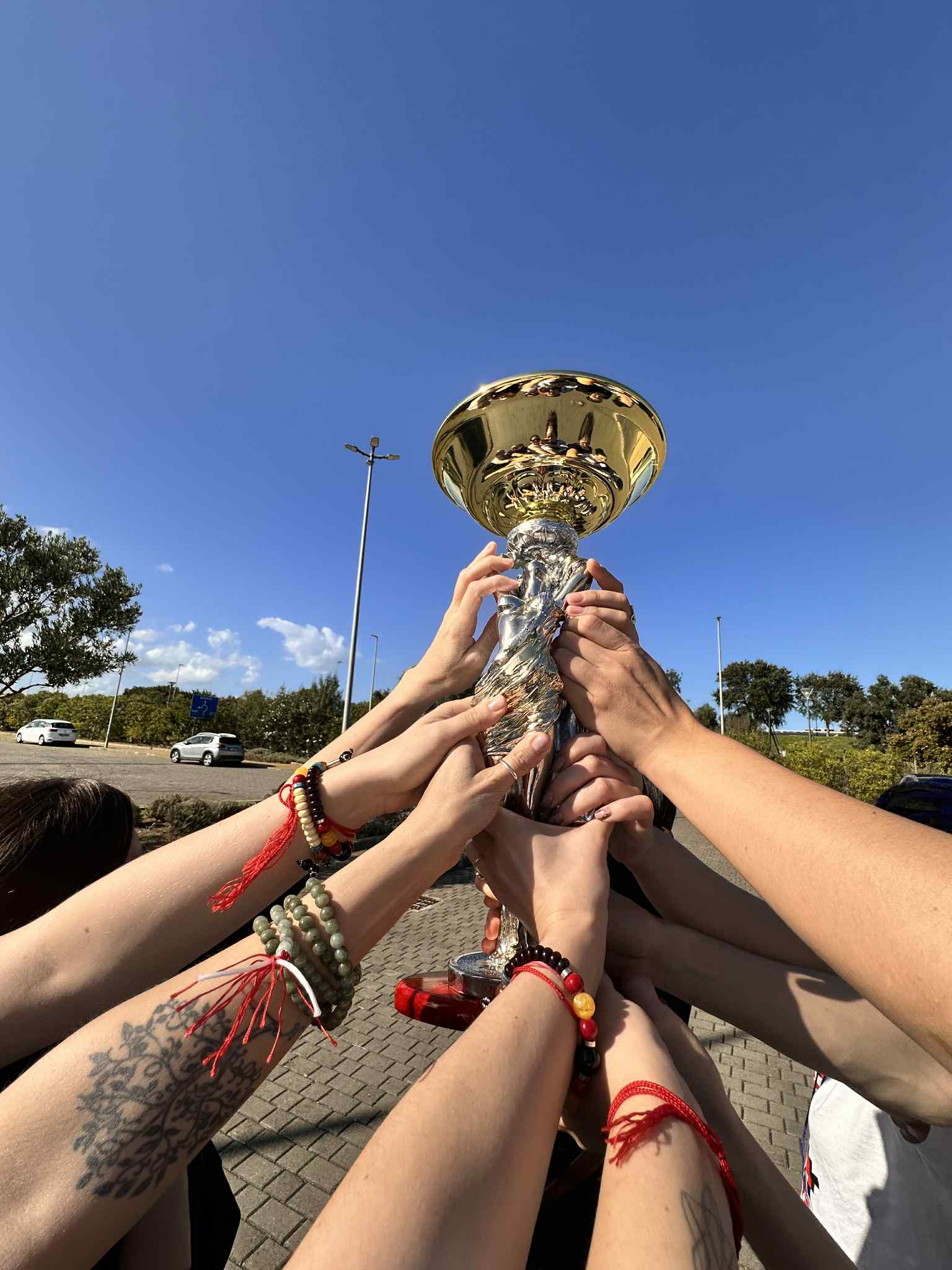 Новини Вінниці - фото з Тріумф вінничанок на чемпіонаті світу в Італії: збірна з масажного мистецтва взяла Кубок Націй.