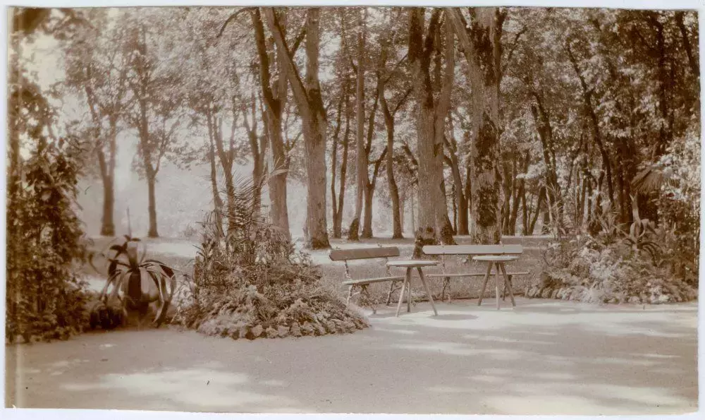 Новини Вінниці - фото з Центральний, Пʼятничанський, Вишенський: історія вінницьких парків