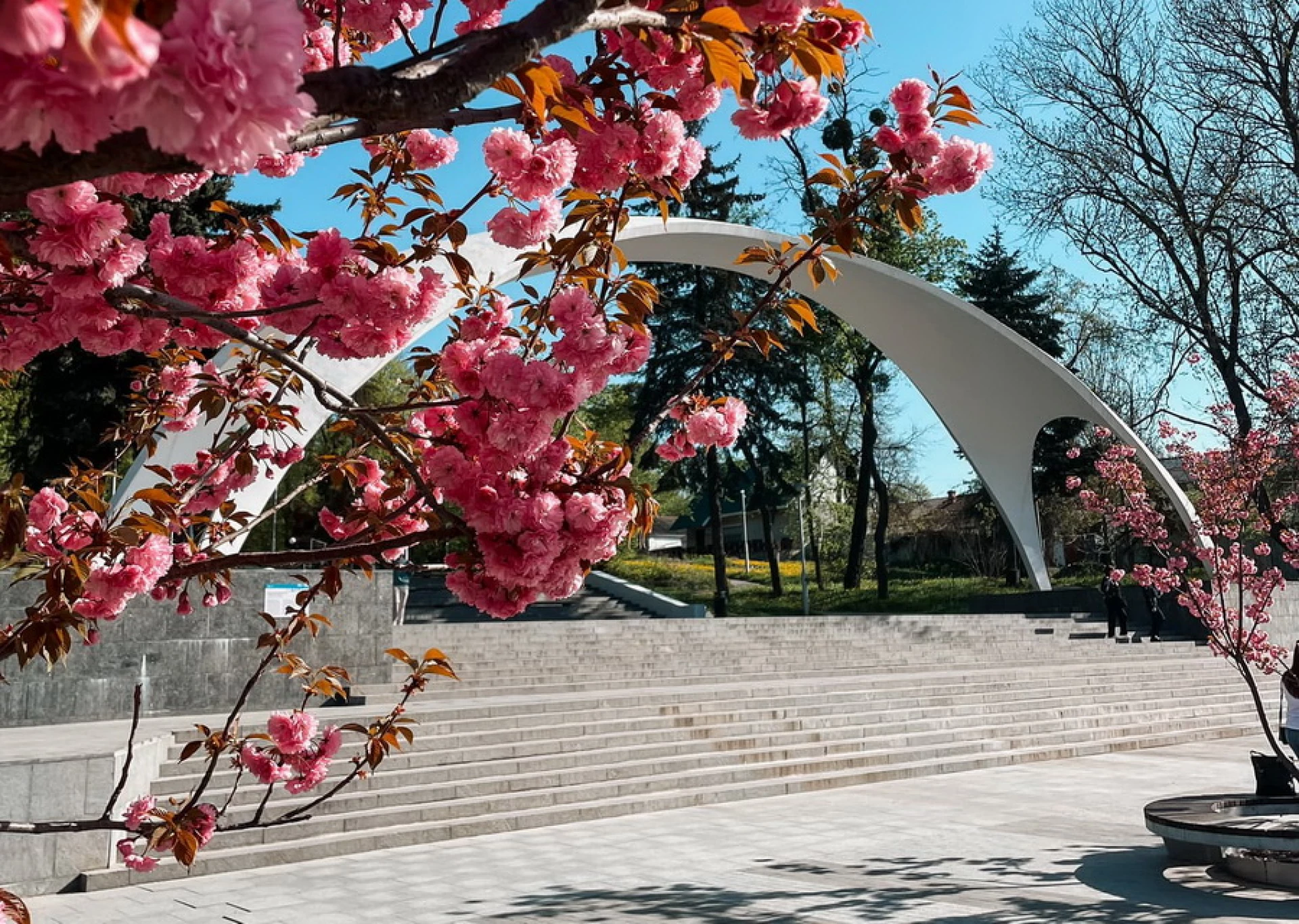 Новини Вінниці - фото з Центральний, Пʼятничанський, Вишенський: історія вінницьких парків