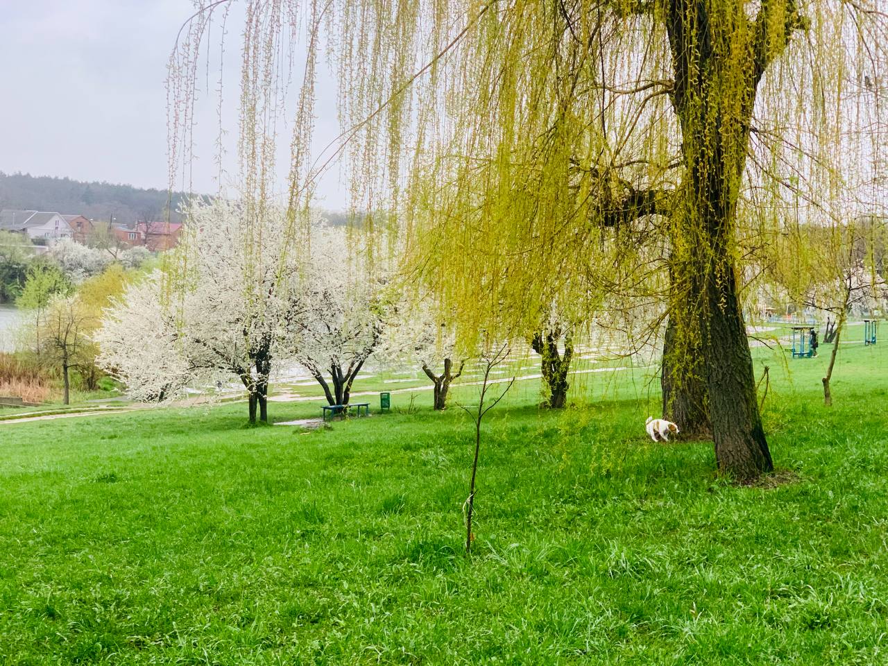 Новини Вінниці - фото з Центральний, Пʼятничанський, Вишенський: історія вінницьких парків