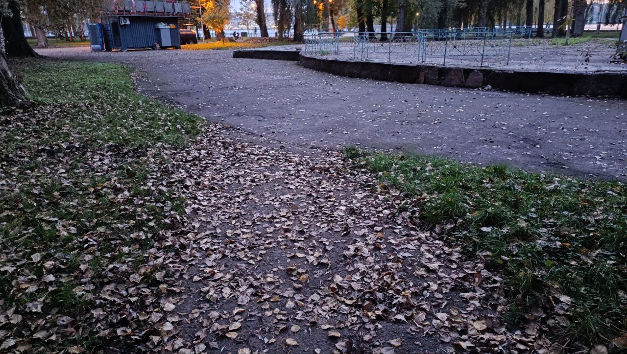 Новини Тернополя - фото з Чому приватне товариство вирішило за свої кошти провести благоустрій у парку Шевченка