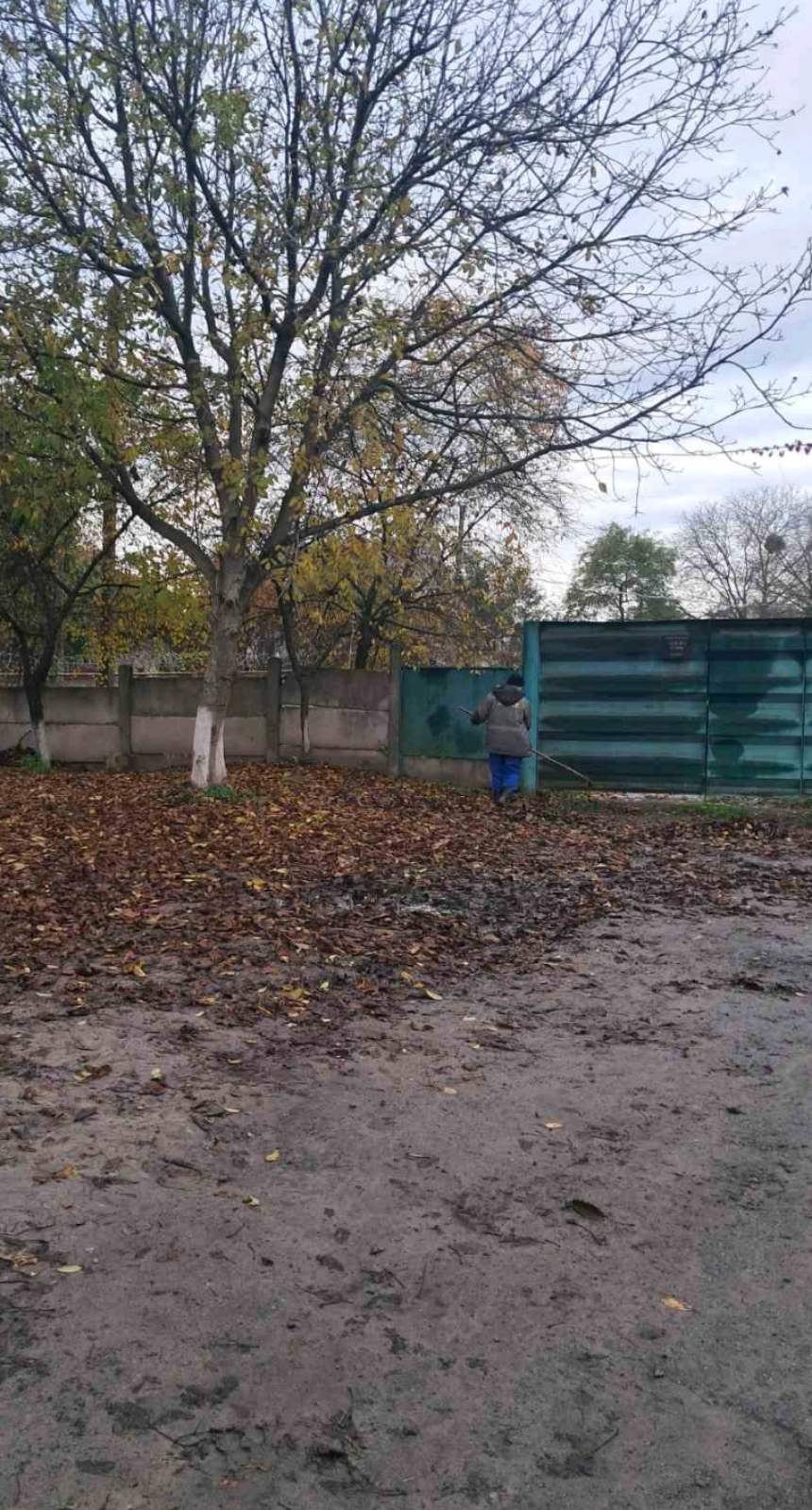 Новини Житомира - фото з Житомир прибирають: комунальні служби продовжують осінній місячник благоустрою