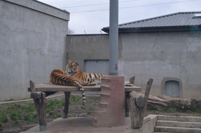 Новини Вінниці - фото з Подільський зоопарк вбрався в осінні барви і запрошує гостей