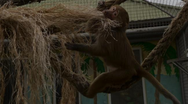 Новини Вінниці - фото з Подільський зоопарк вбрався в осінні барви і запрошує гостей
