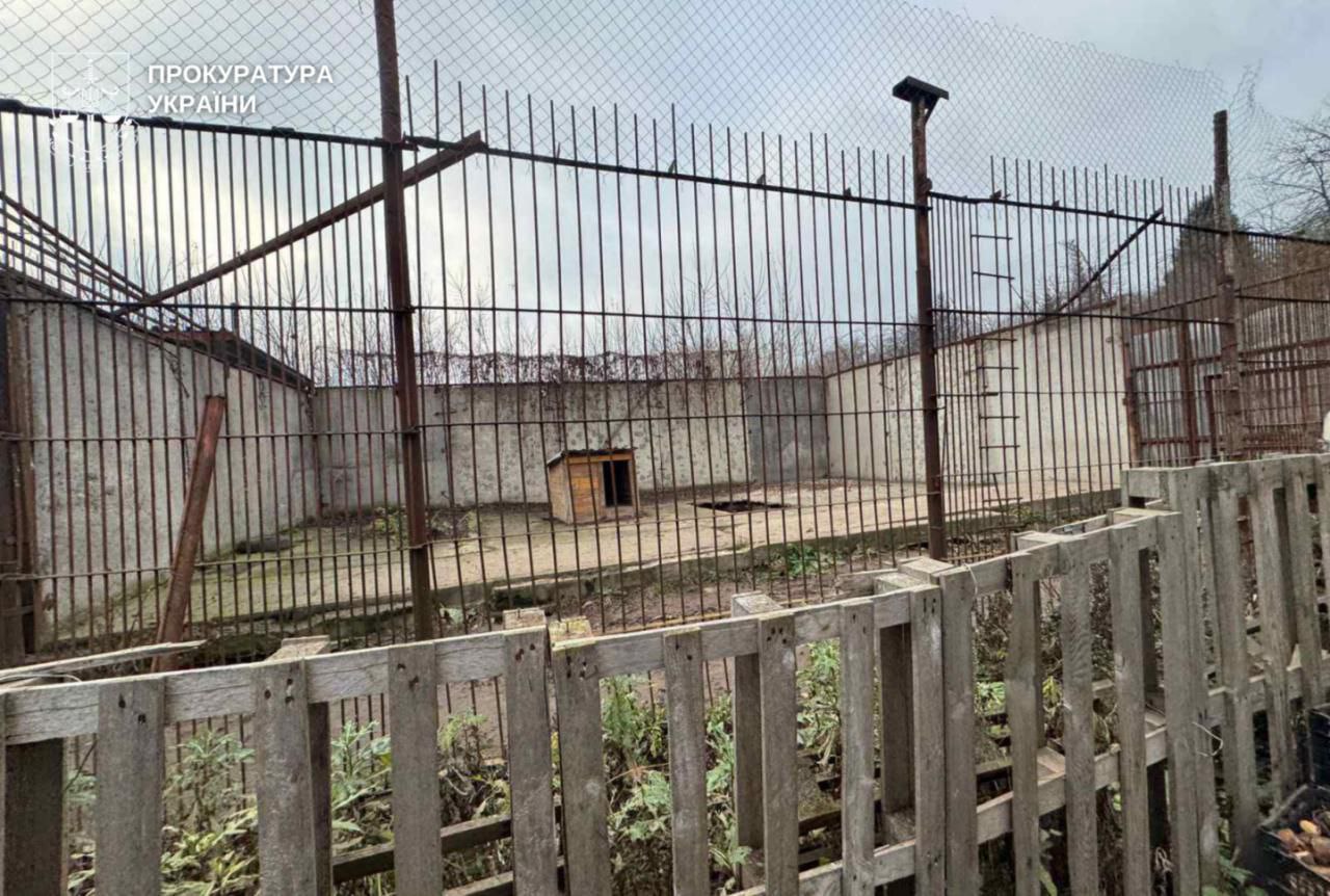 Новини Хмельницького - фото з Поліція та ДСНС показали, як ловили левицю, що втекла із зоокуточка (ФОТО, ВІДЕО) Левиці, які втекли з реабілітаційного центру, вбили декілька тварин