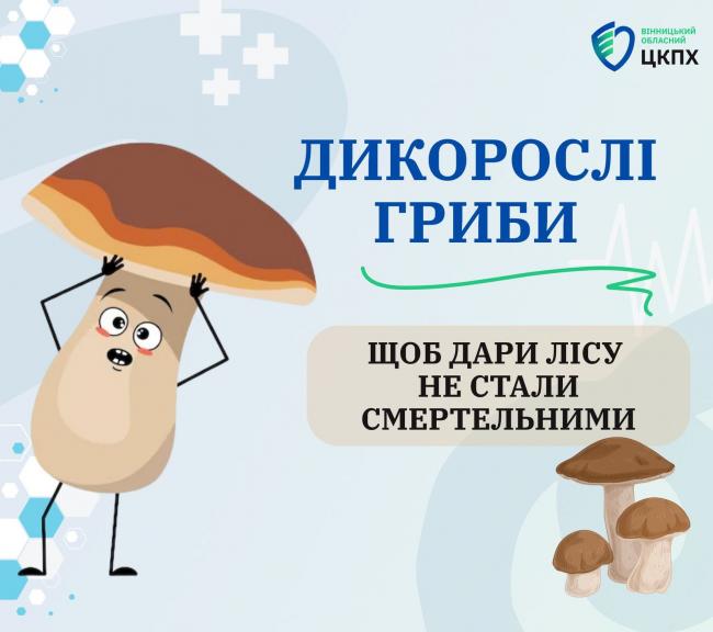Новини Вінниці - фото з На Вінниччині — нова хвиля отруєнь грибами: постраждали 14 людей