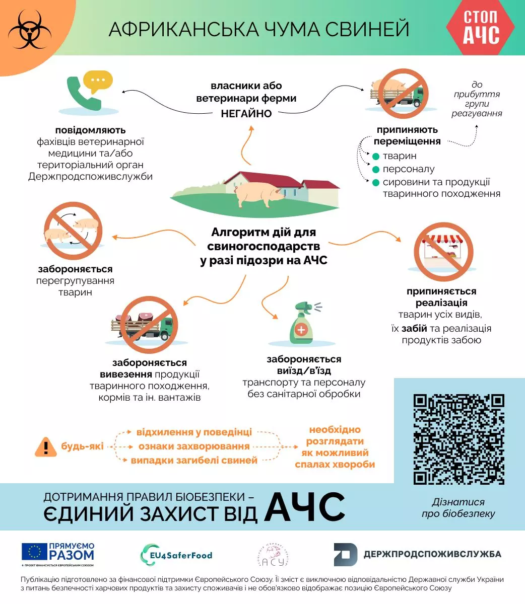 Новини Тернополя - фото з Африканську чуму свиней виявили на Збаражчині: як запобігають поширенню збудника