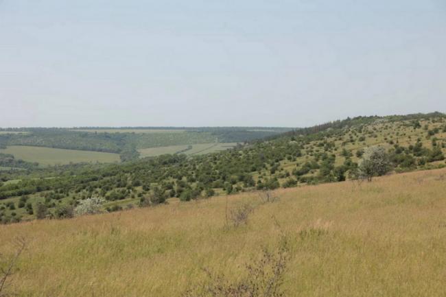 Новини Вінниці - фото з Суд заборонив видобуток копалин в заказнику «Гора Лисківка» та захистив природу Буші