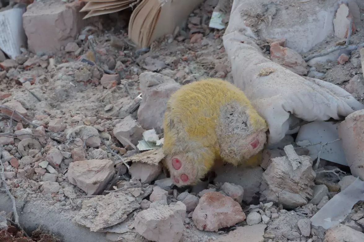 Новини Тернополя - фото з Тернопіль ще спав, коли ворог вдарив... страшний для Тернополя день показуємо у 10 фото