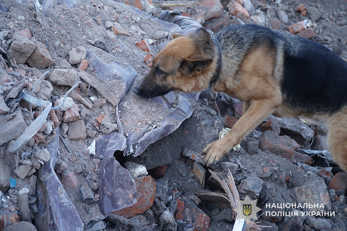 Новини Тернополя - фото з У Тернополі триває пошук безвісти зниклих: фахівці працюють серед сотень тонн завалів