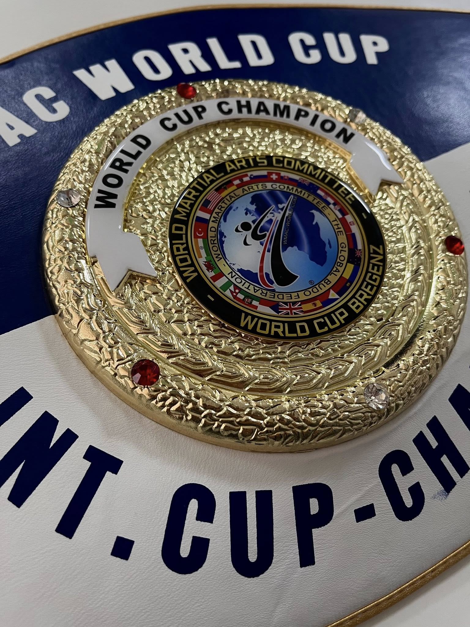 Новини Тернополя - фото з Учень тернопільської школи №28 Артем Сведина став Чемпіоном світу з козацького двобою