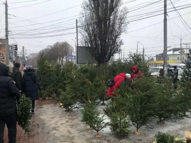 Новини Вінниці - фото з Вінниця готується до свят: визначили перелік офіційних точок продажу ялинок та прикрас