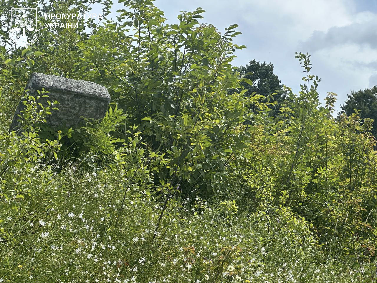 Новини Тернополя - фото з Міськрада у Кременці не уклала охоронний договір на старовинне єврейське кладовище