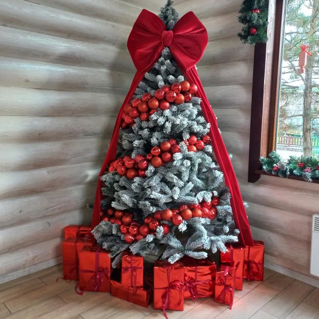 Новини Вінниці - фото з Подільський зоопарк запрошує на свято Миколая: будуть розважати дітей і встановлювати рекорд України