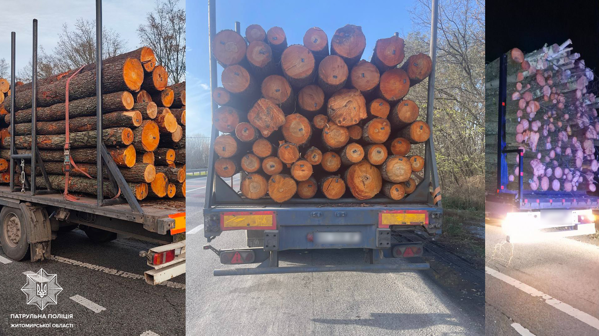 Новини Житомира - фото з За минулий місяць на автодорогах області патрульні виявили 50 випадків порушення правил перевезення деревини