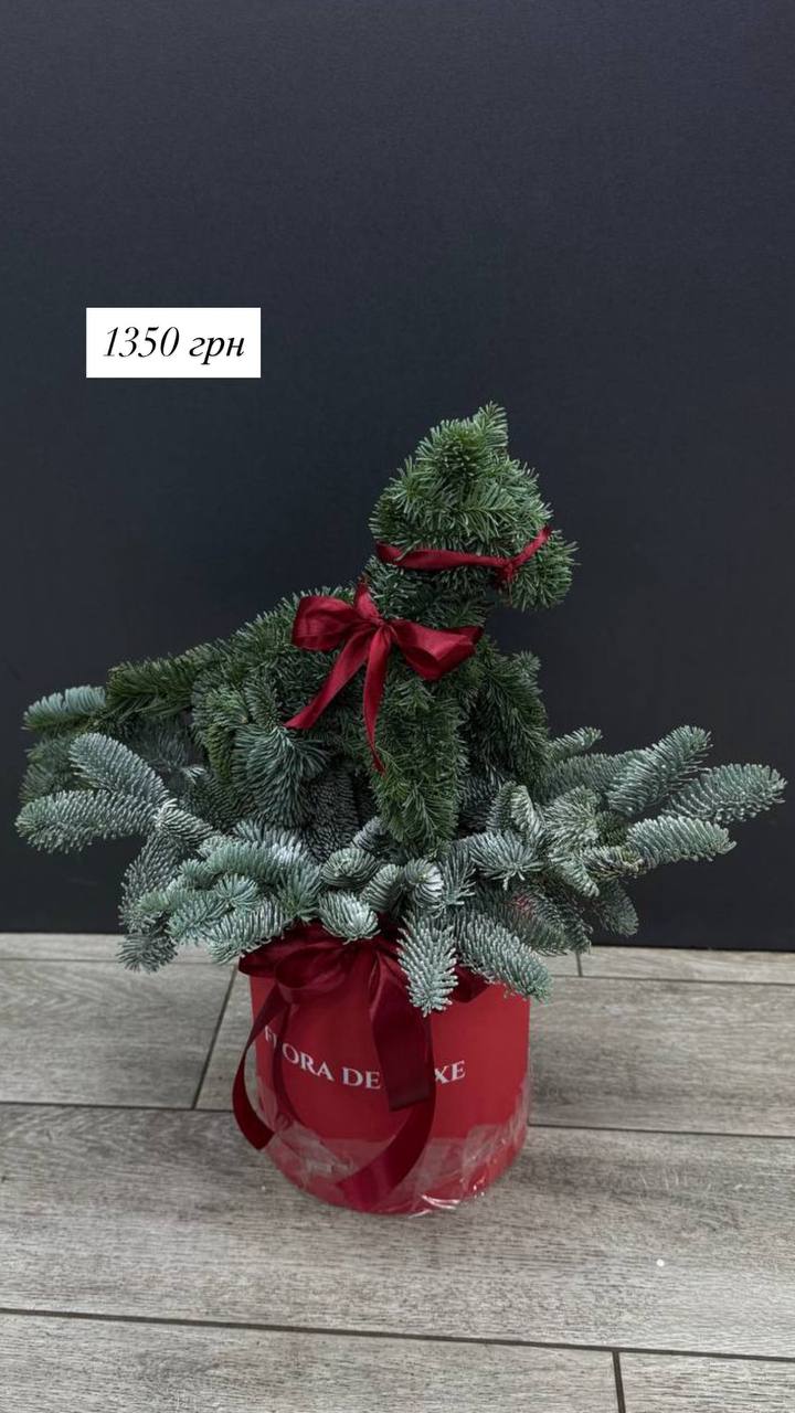 Новини Тернополя - фото з Авторські віночки, букети і ялинковий коник: де замовити новорічні декорації в Тернополі та їх ціни