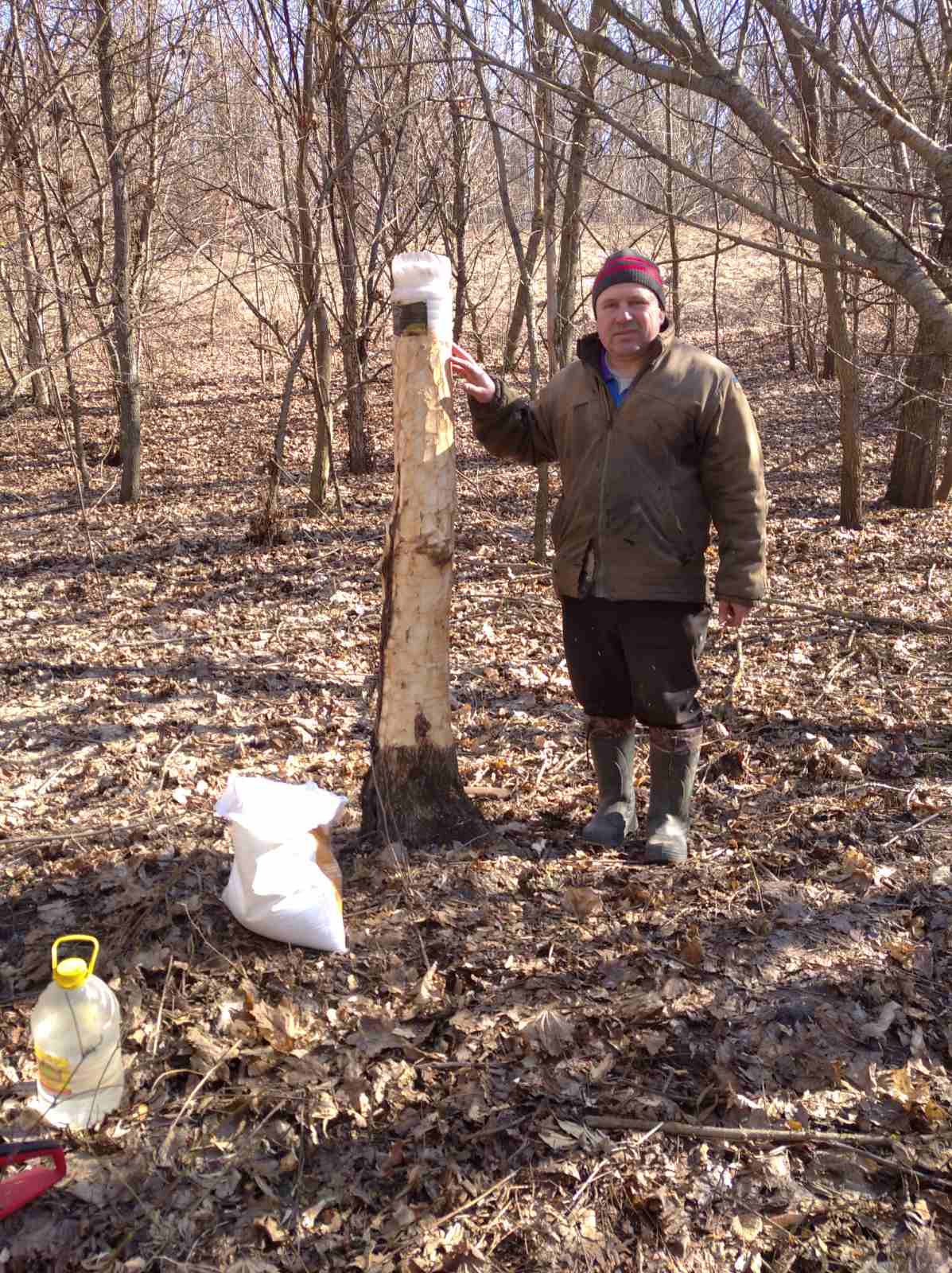 Новини Козятина - фото з Один лис рветься з собакою, другий — третю качку догризає, а їх відстріл під питанням