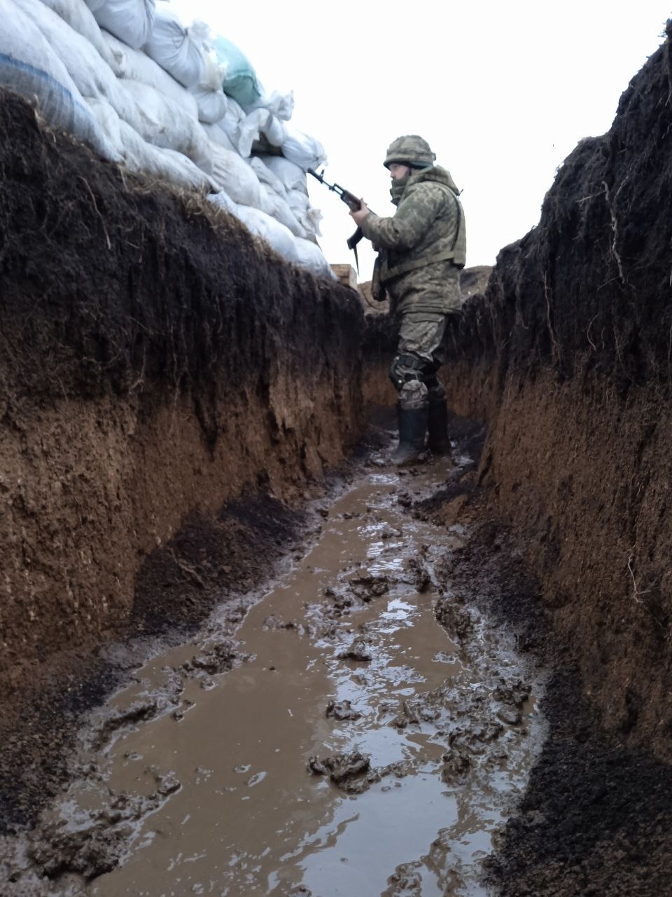 Новини Тернополя - фото з Від окопів до саду: історія ветерана Тараса Попенка