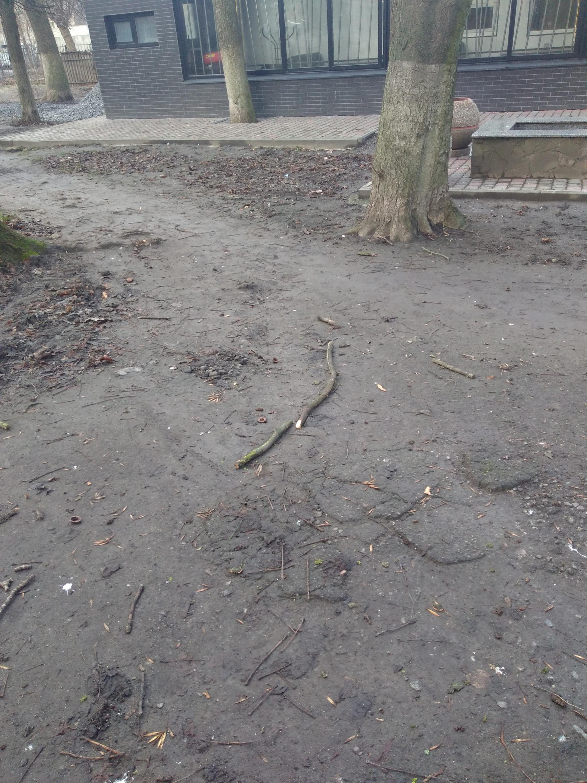 Новини Козятина - фото з «Наш міський парк гарний та не вирішені питання безпеки громадян»