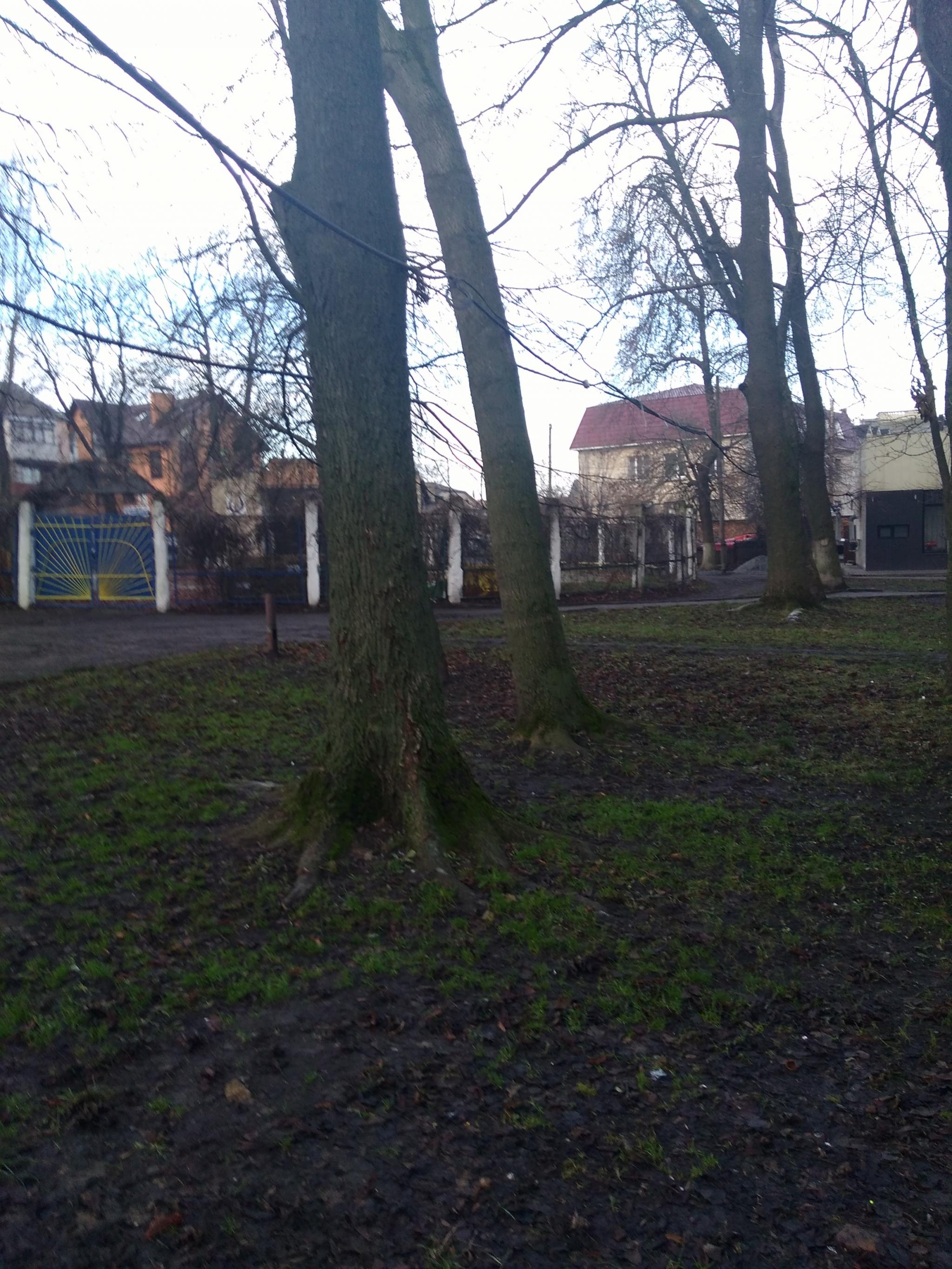 Новини Козятина - фото з «Наш міський парк гарний та не вирішені питання безпеки громадян»