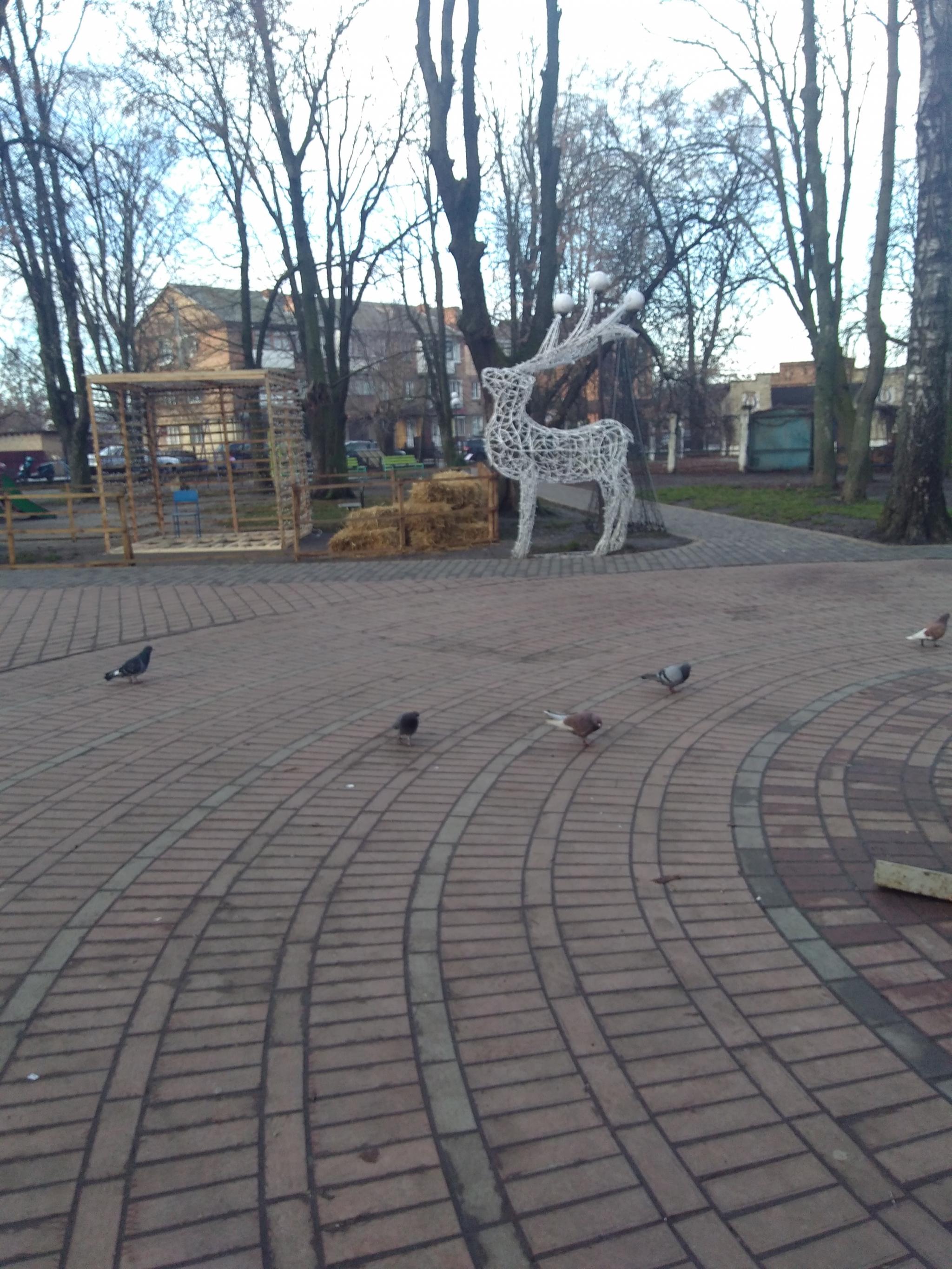 Новини Козятина - фото з «Наш міський парк гарний та не вирішені питання безпеки громадян»