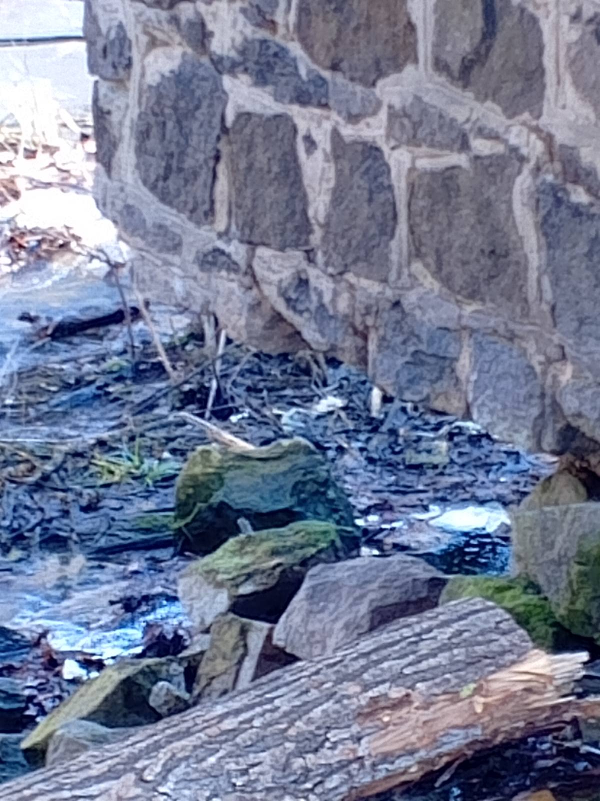 Новини Козятина - фото з «Після провід запрошуємо на суботник. Після прибирання всіх чекатиме шашлик»