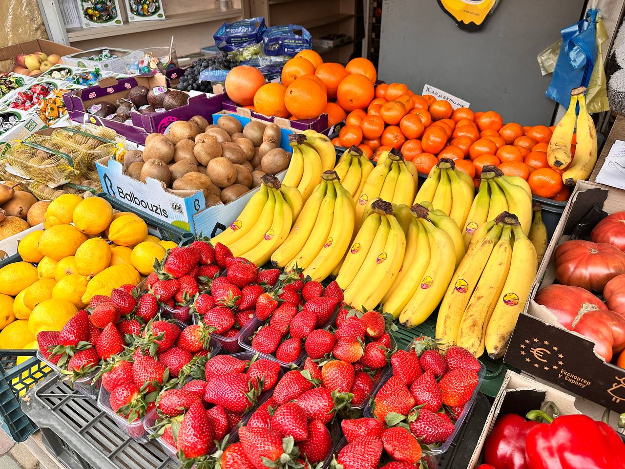Новини Тернополя - фото з Огірки по 190, виноград по 295: ціни на тернопільському ринку в березні