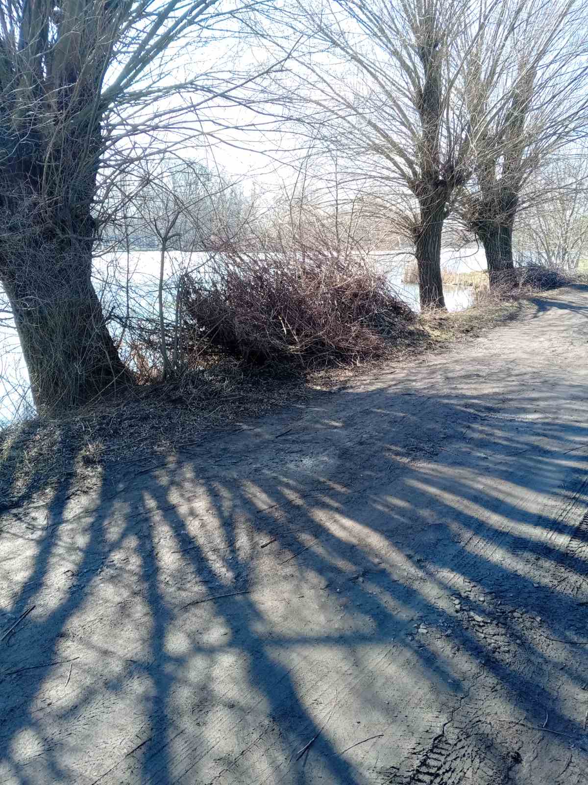 Новини Козятина - фото з «Після провід запрошуємо на суботник. Після прибирання всіх чекатиме шашлик»