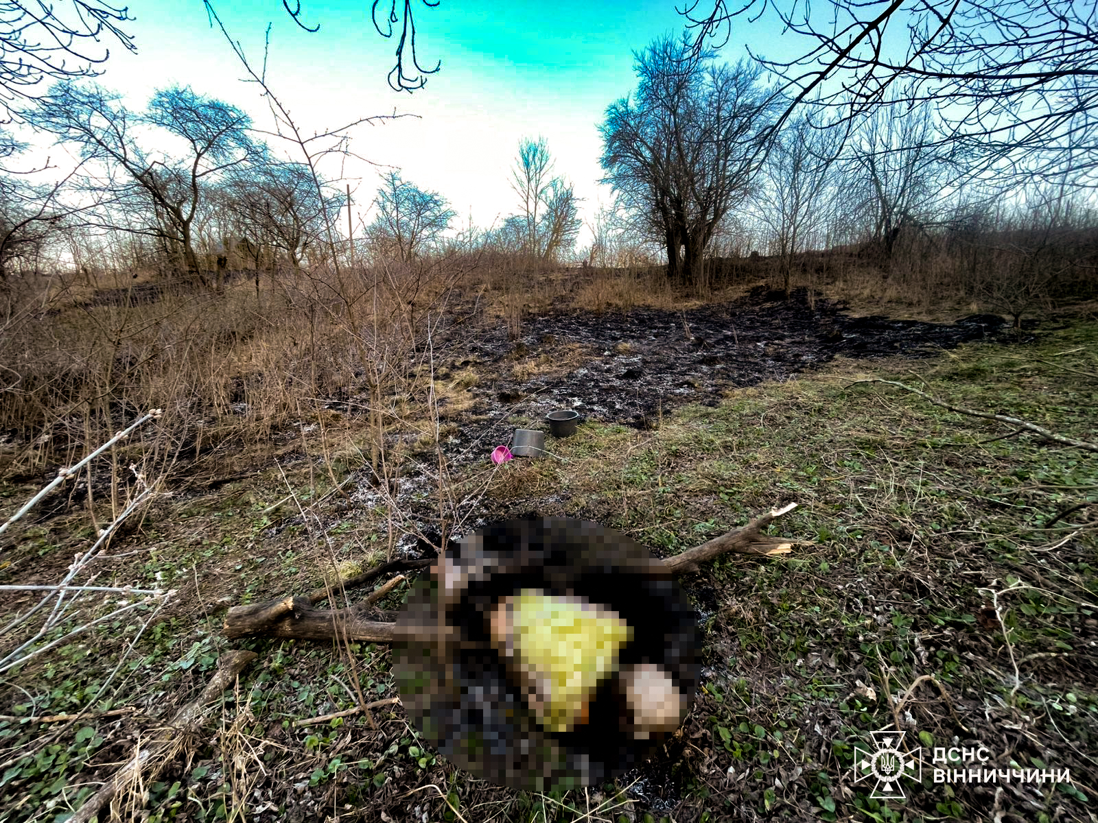 Новини Козятина - фото з Одна жінка загинула, ще одна — отримала опіки: наслідки спалення сухої трави на Вінниччині