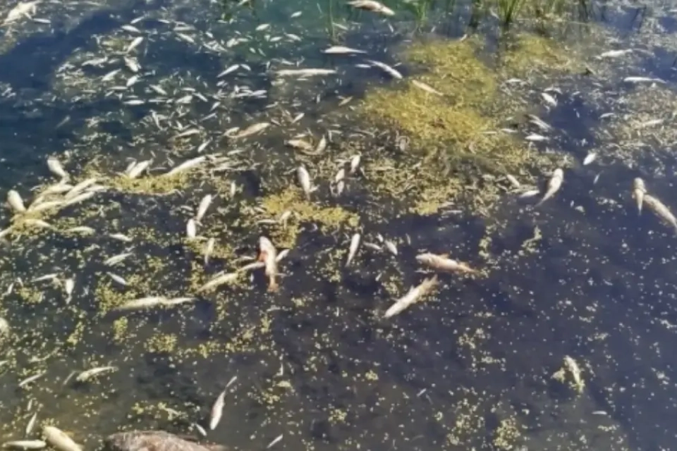 Новини Хмельницького - фото з Рік у фото: пригадуємо, який був 2025-ий у Хмельницькому