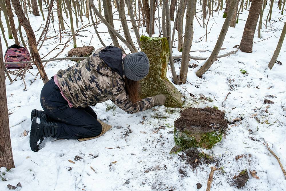 Новини Хмельницького - фото з У лісі на Хмельниччині знайшли унікальний хрест, встановлений жертві епідемії чуми