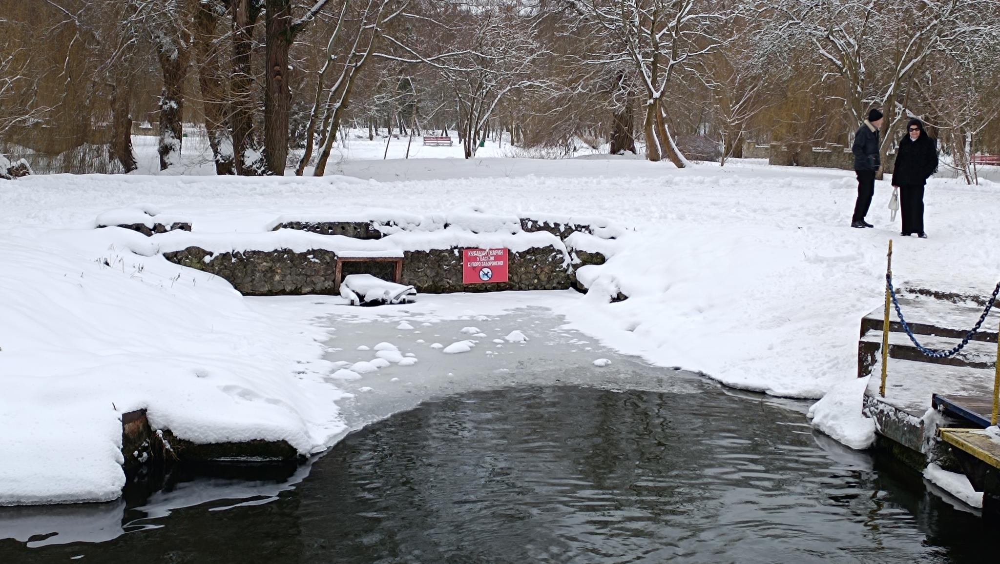 Новини Тернополя - фото з Тернополяни відзначають Водохреще на «моржатнику»