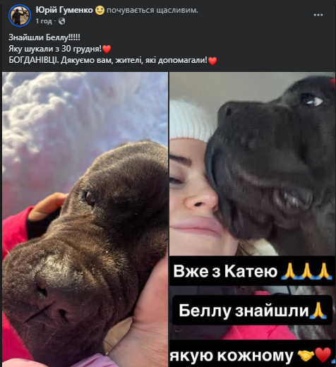 Новини Хмельницького - фото з Знайшли собаку Беллу, яка загубилася 30 грудня