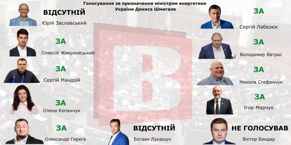 Як за призначення Дениса Шмигаля міністром енергетики голосували народні депутати з Хмельниччини