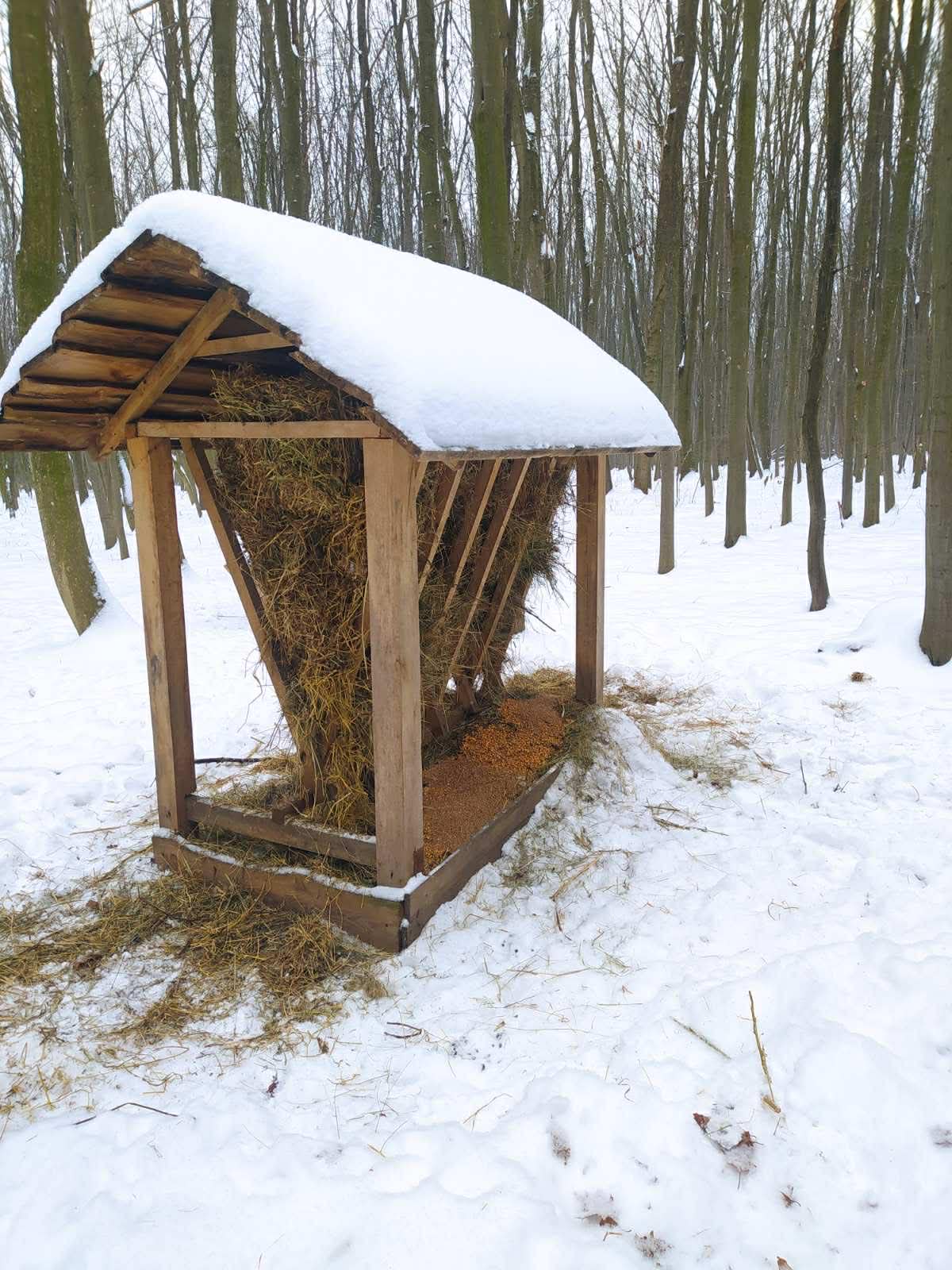 Новини Вінниці - фото з Крижана кірка ріже ноги до кістки: єгер розповів про догляд за лісовими жителями в морози