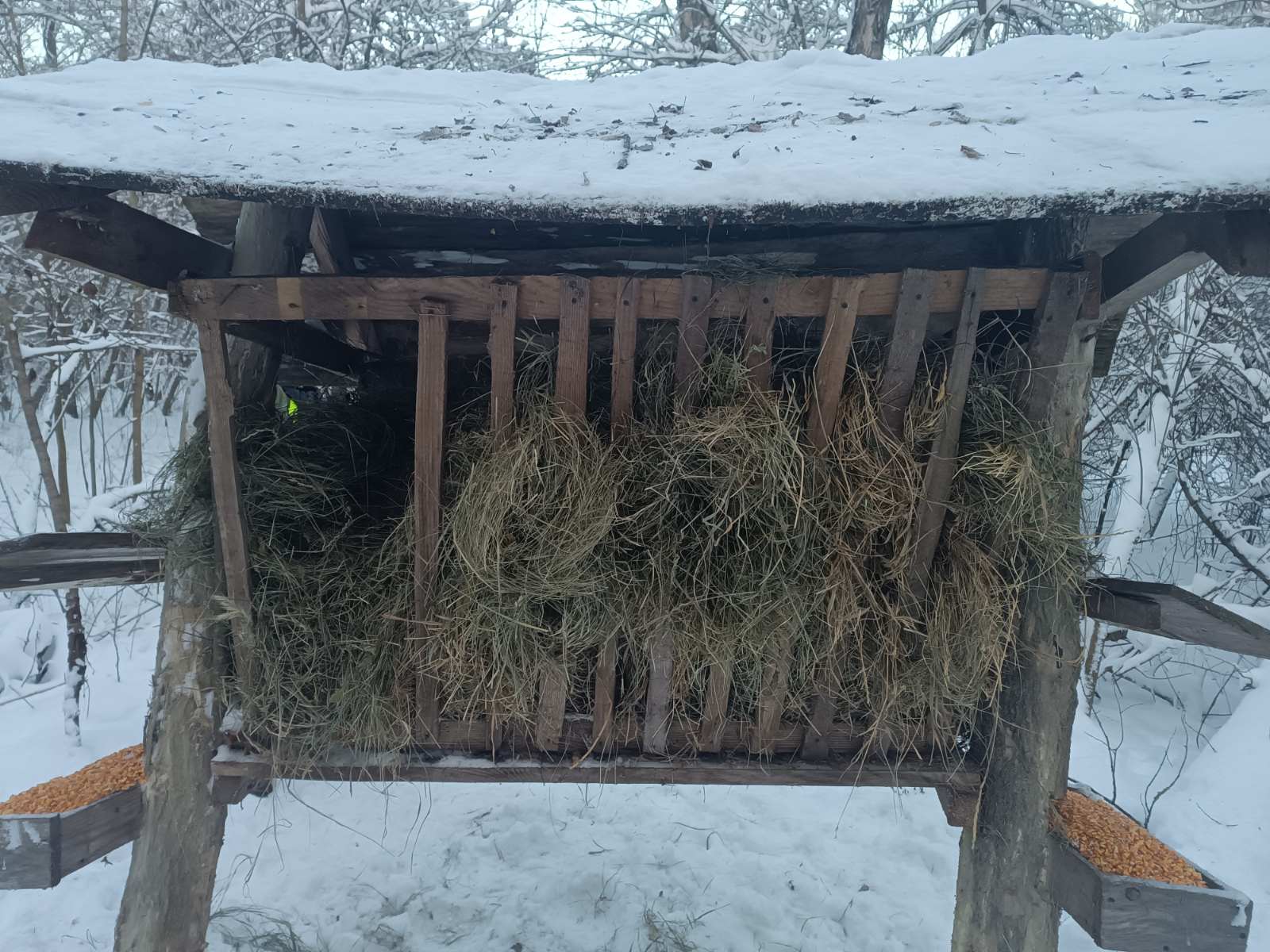 Новини Козятина - фото з «Нам, хоч би з пальним хтось допоміг тіді б ми одразу стали на дві ноги»