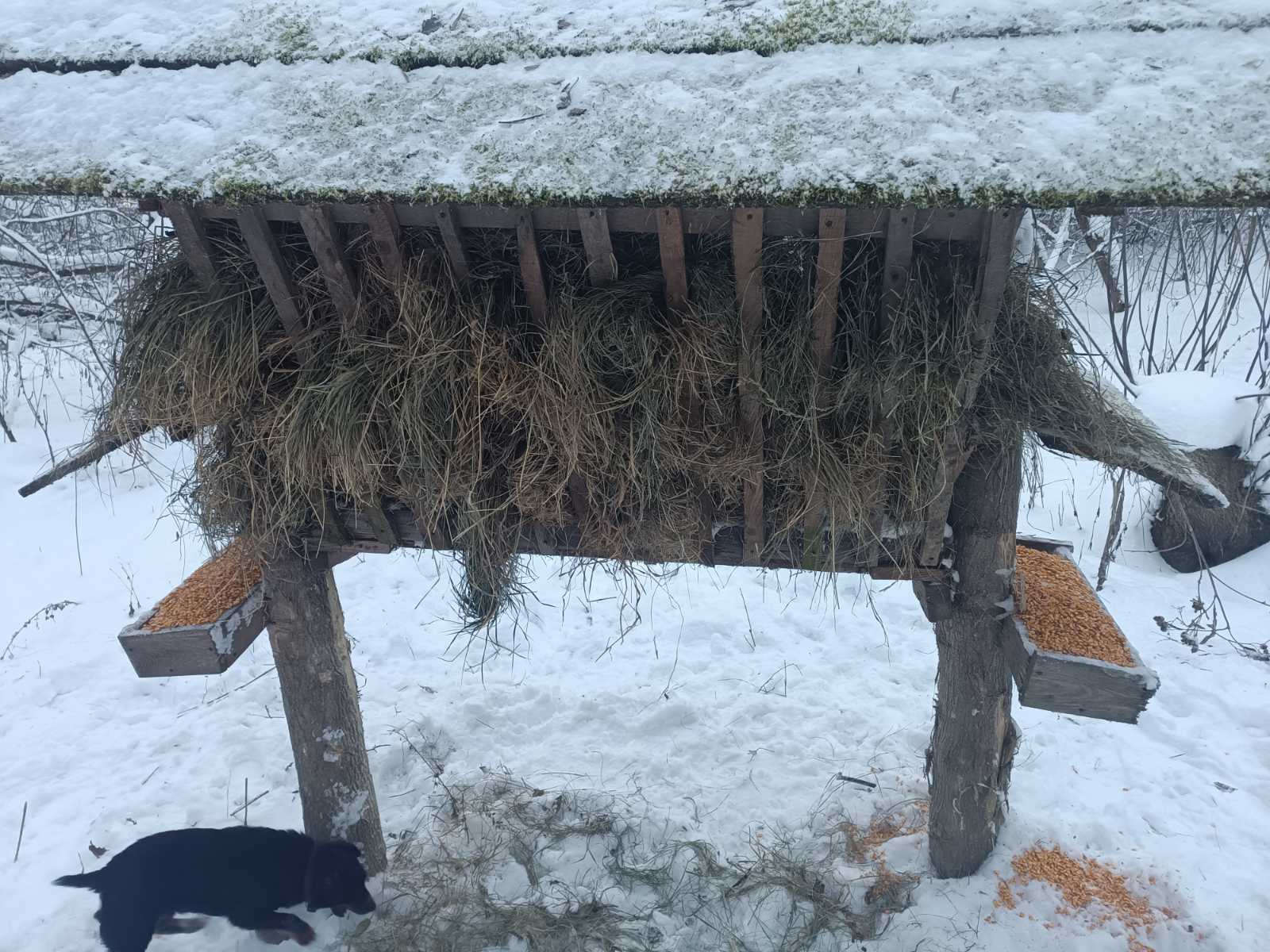 Новини Козятина - фото з «Нам, хоч би з пальним хтось допоміг тіді б ми одразу стали на дві ноги»